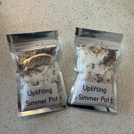 two simmer pot packs with salt and herbs